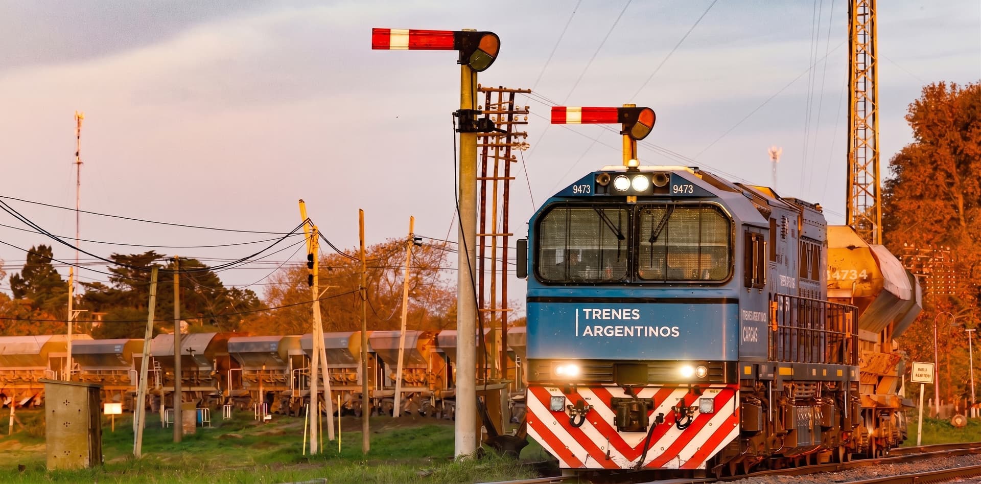 tren de carga
