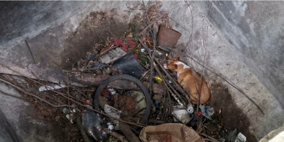 Foto enviada por la redacción desde Telegram. Falta describirla.